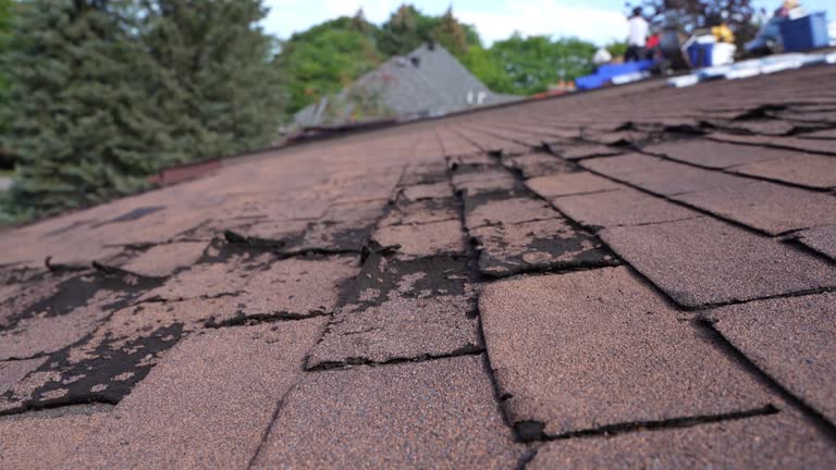 Professional Roofing Services in Patterson Tract, CA